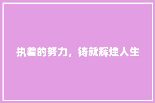 执着的努力，铸就辉煌人生