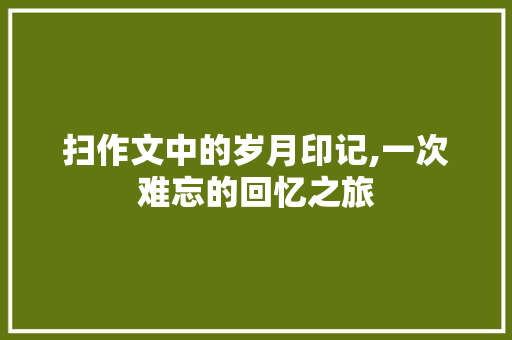 扫作文中的岁月印记,一次难忘的回忆之旅