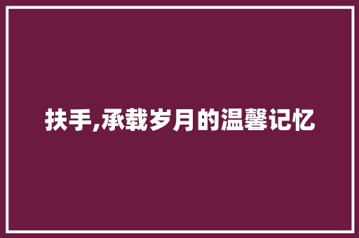 扶手,承载岁月的温馨记忆