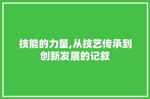 技能的力量,从技艺传承到创新发展的记叙