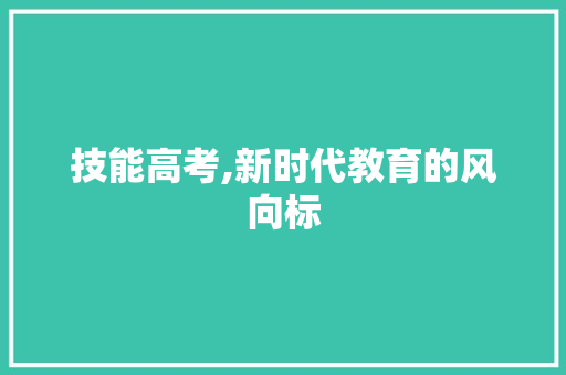 技能高考,新时代教育的风向标