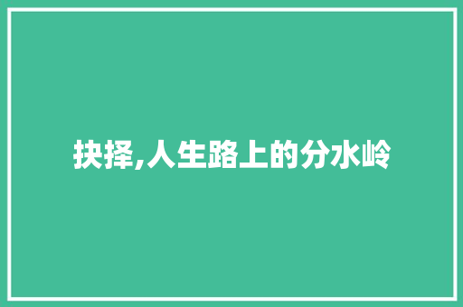 抉择,人生路上的分水岭