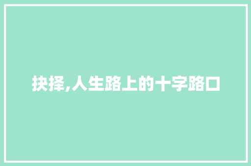 抉择,人生路上的十字路口