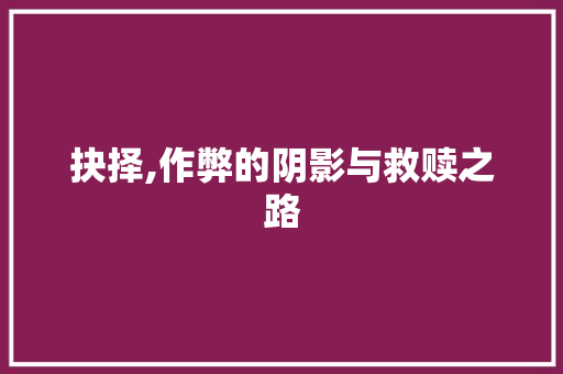 抉择,作弊的阴影与救赎之路