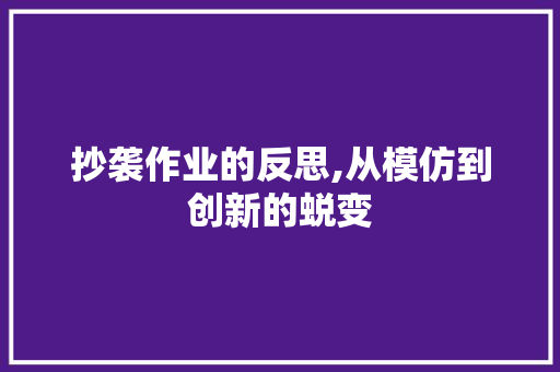 抄袭作业的反思,从模仿到创新的蜕变