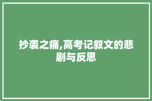 抄袭之痛,高考记叙文的悲剧与反思