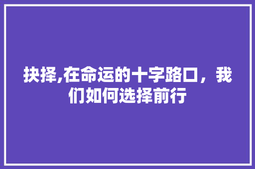 抉择,在命运的十字路口，我们如何选择前行