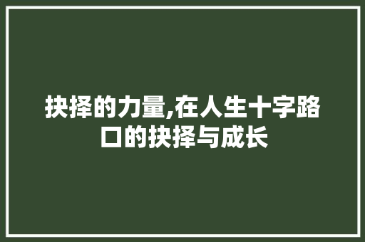 抉择的力量,在人生十字路口的抉择与成长