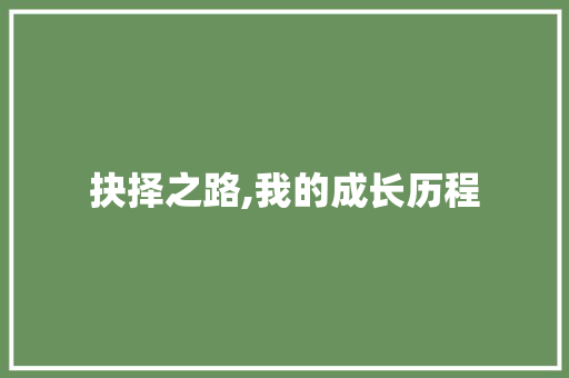 抉择之路,我的成长历程