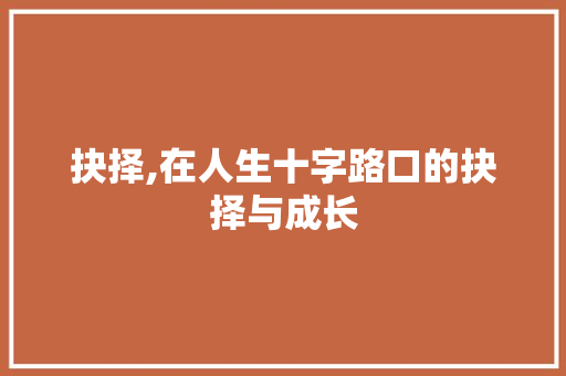 抉择,在人生十字路口的抉择与成长