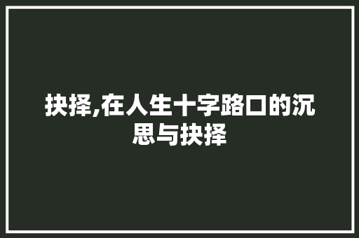 抉择,在人生十字路口的沉思与抉择