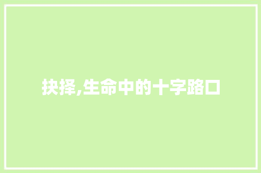 抉择,生命中的十字路口