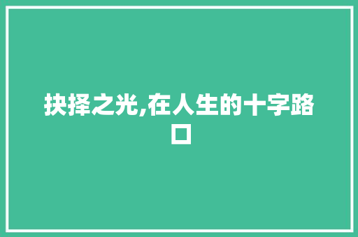 抉择之光,在人生的十字路口