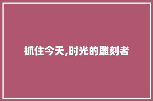 抓住今天,时光的雕刻者