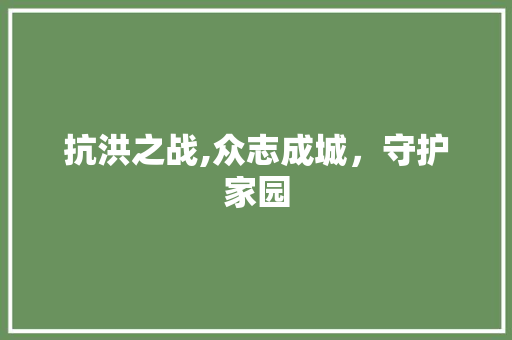 抗洪之战,众志成城，守护家园