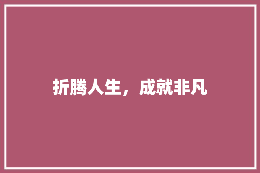 折腾人生，成就非凡