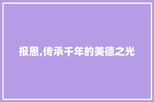 报恩,传承千年的美德之光