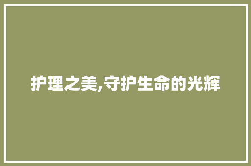 护理之美,守护生命的光辉