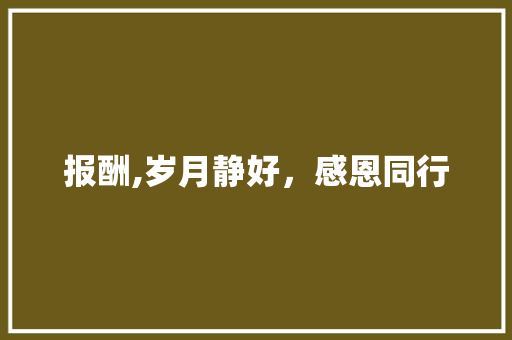 报酬,岁月静好，感恩同行