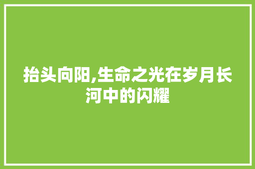 抬头向阳,生命之光在岁月长河中的闪耀