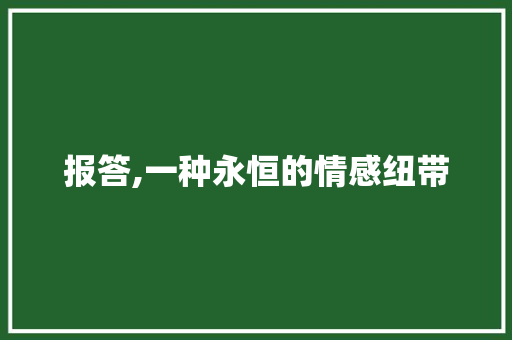 报答,一种永恒的情感纽带