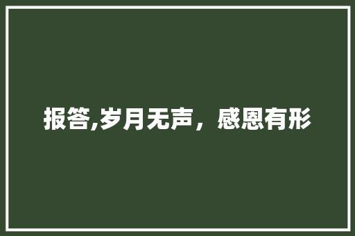 报答,岁月无声，感恩有形