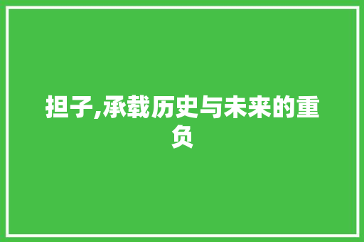 担子,承载历史与未来的重负