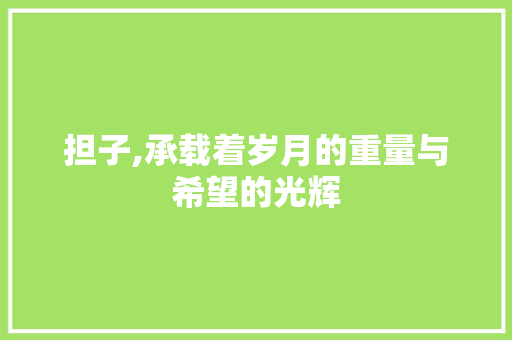 担子,承载着岁月的重量与希望的光辉