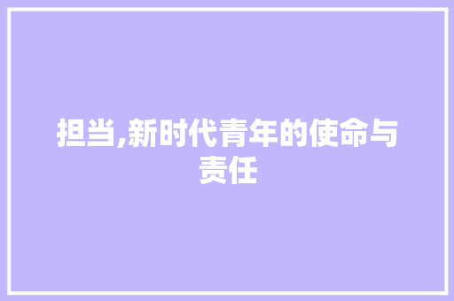 担当,新时代青年的使命与责任