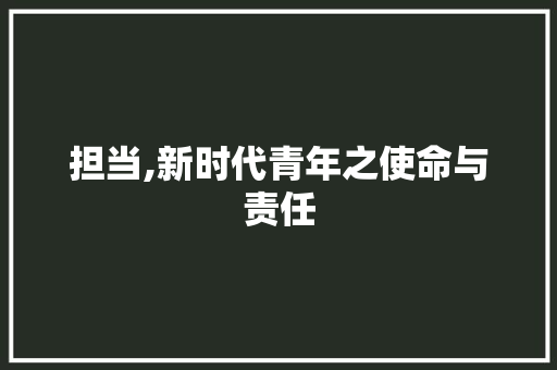 担当,新时代青年之使命与责任