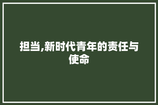 担当,新时代青年的责任与使命