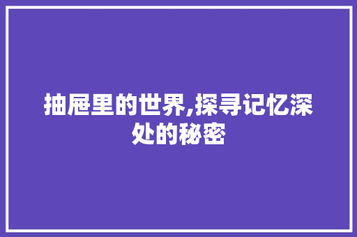 抽屉里的世界,探寻记忆深处的秘密