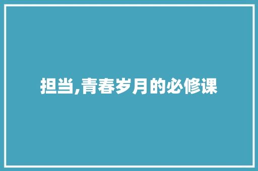 担当,青春岁月的必修课