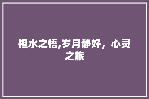 担水之悟,岁月静好，心灵之旅