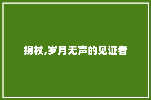 拐杖,岁月无声的见证者