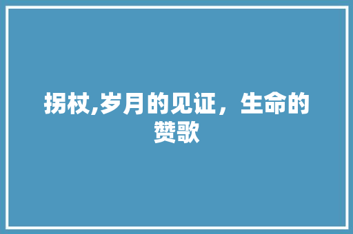 拐杖,岁月的见证，生命的赞歌