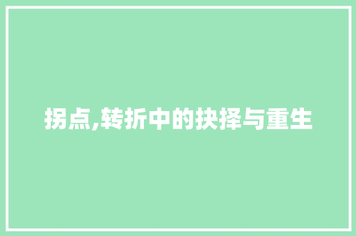 拐点,转折中的抉择与重生