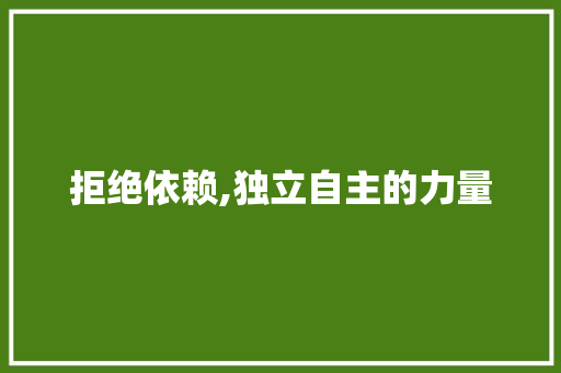 拒绝依赖,独立自主的力量