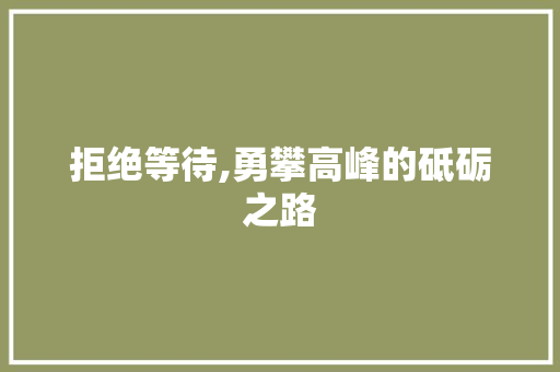 拒绝等待,勇攀高峰的砥砺之路