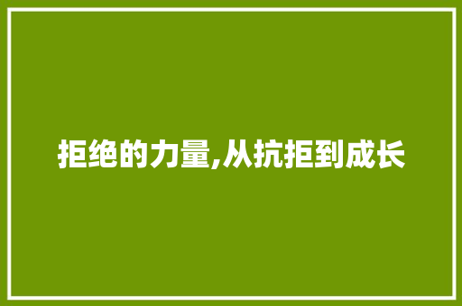 拒绝的力量,从抗拒到成长