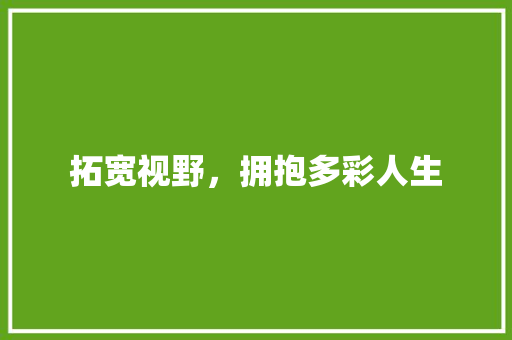 拓宽视野，拥抱多彩人生