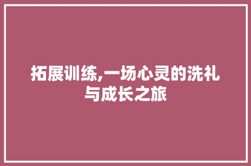 拓展训练,一场心灵的洗礼与成长之旅