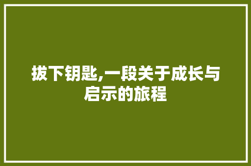 拔下钥匙,一段关于成长与启示的旅程