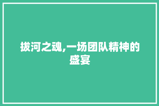 拔河之魂,一场团队精神的盛宴