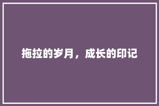 拖拉的岁月，成长的印记