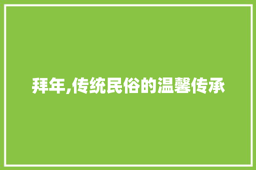 拜年,传统民俗的温馨传承