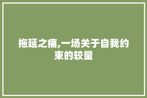 拖延之痛,一场关于自我约束的较量