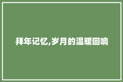 拜年记忆,岁月的温暖回响