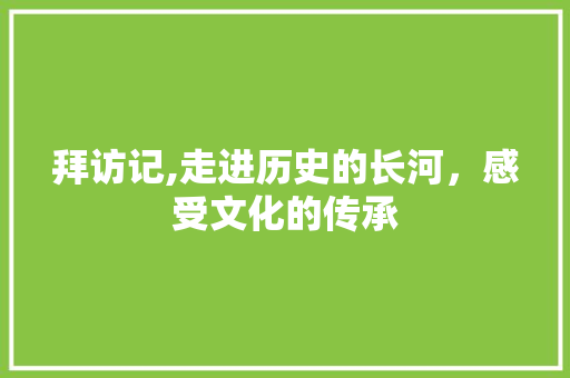 拜访记,走进历史的长河，感受文化的传承