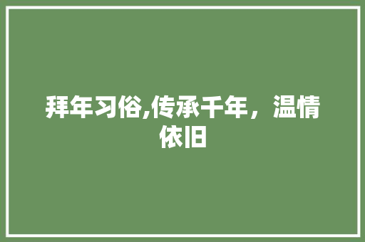 拜年习俗,传承千年，温情依旧